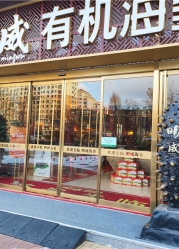 烟台明威海参